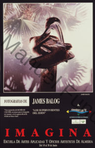 James Balog “Supervivientes del Edén”