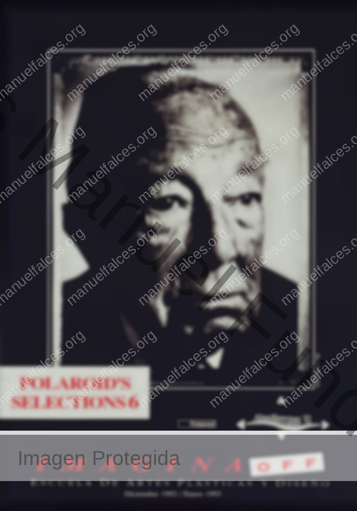Polaroid Selections´6