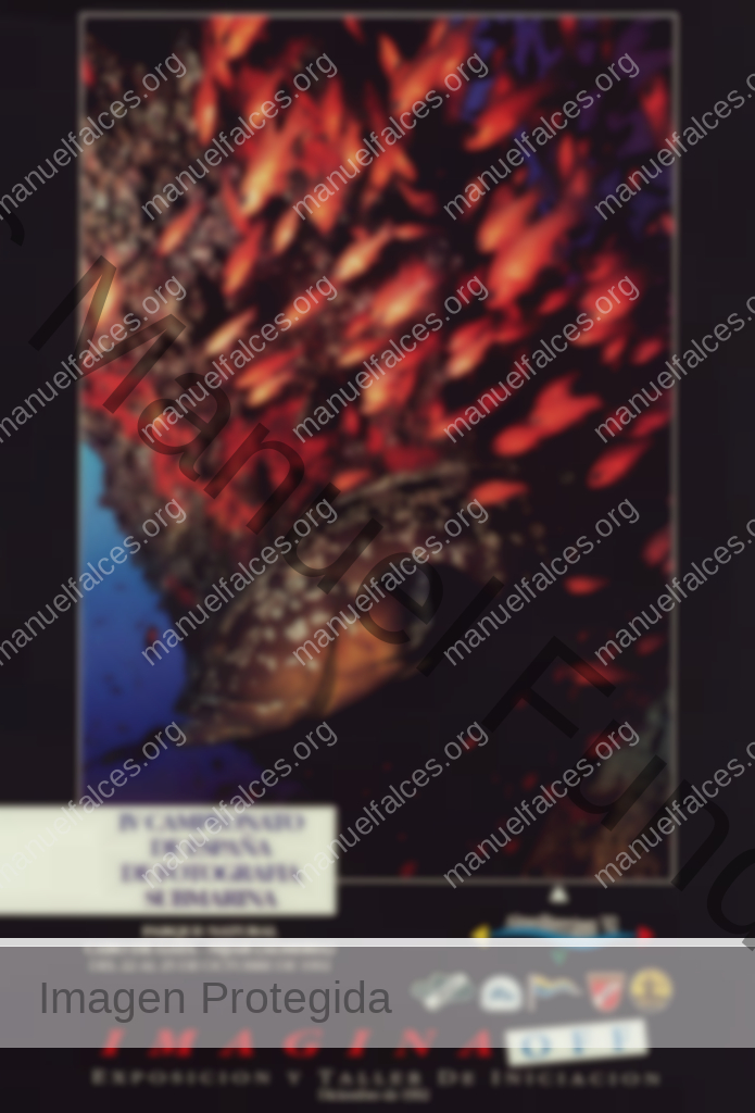 Fotografía Submarina