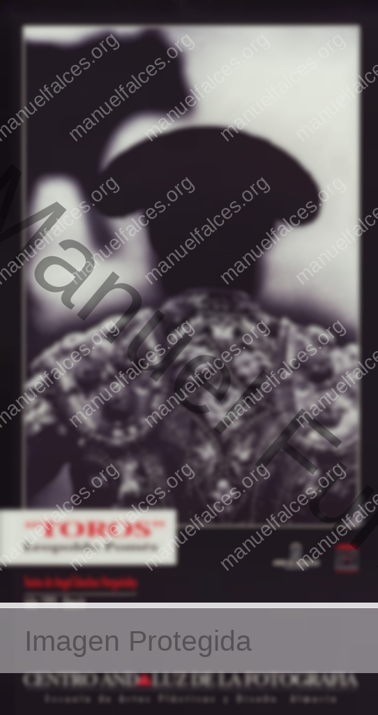 Leopoldo Pomés “Toros”