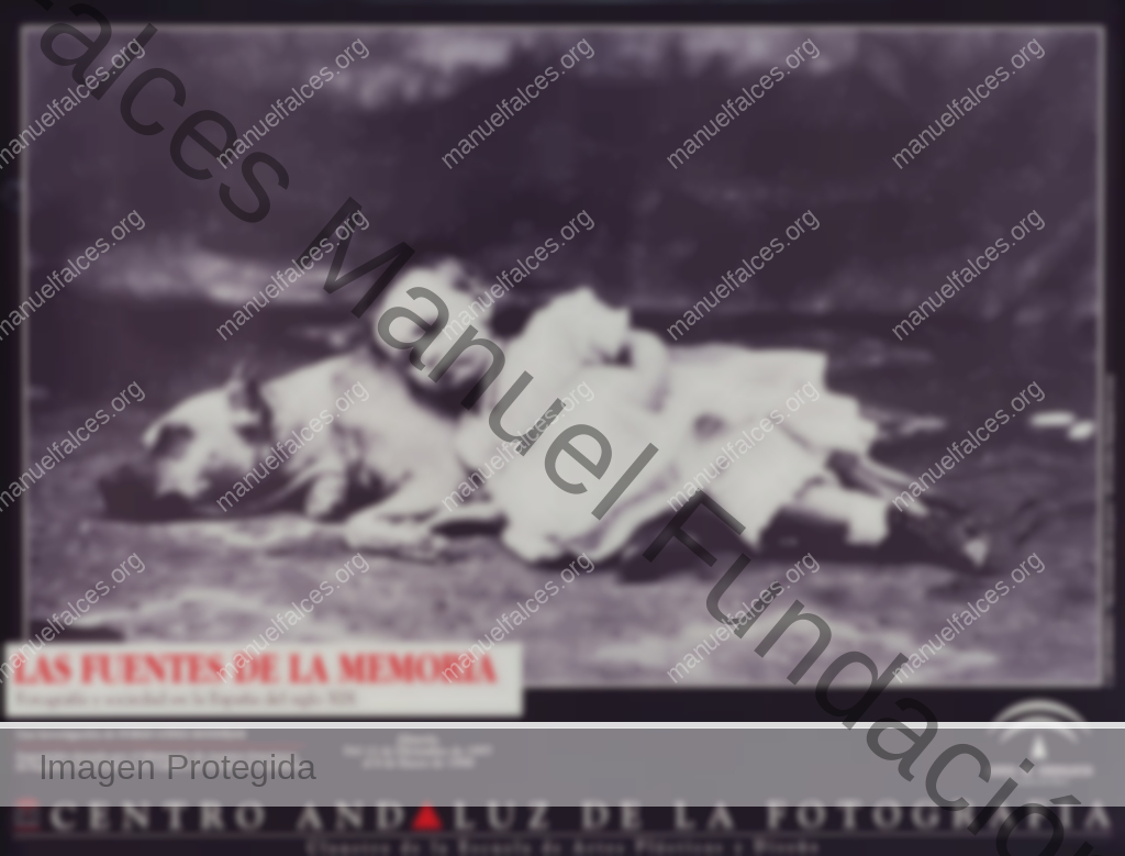 Las Fuentes De La Memoria
