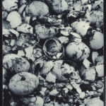 “Historias De Huevos”