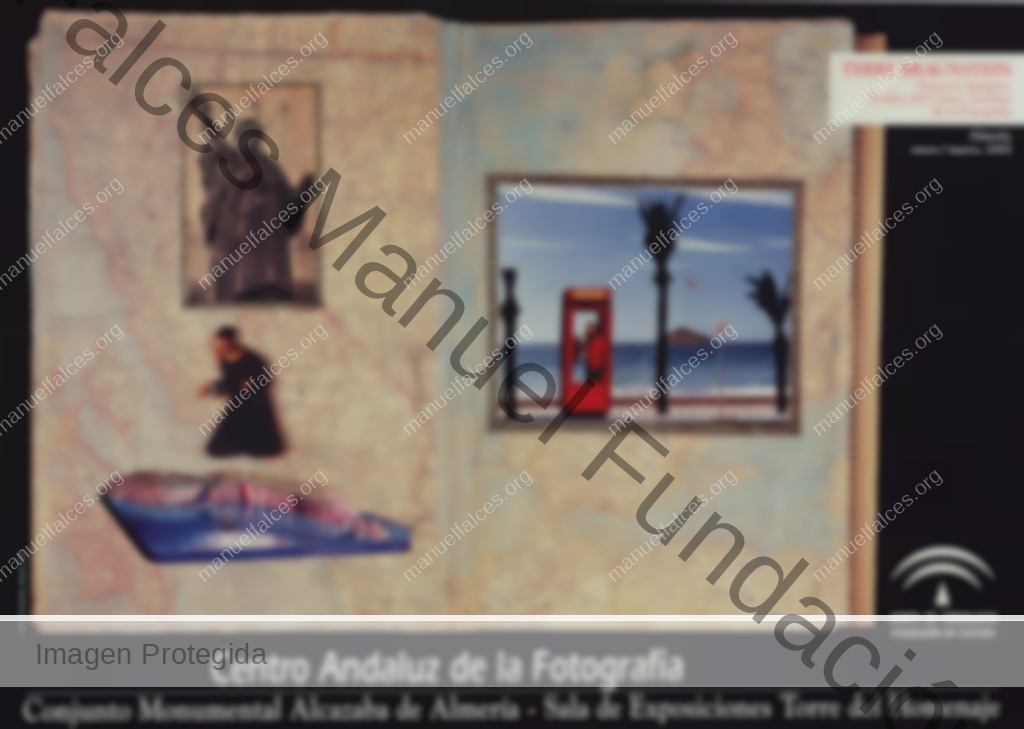 Terry Braunstein “Proyecto Imagina. Fondos Del CAF”