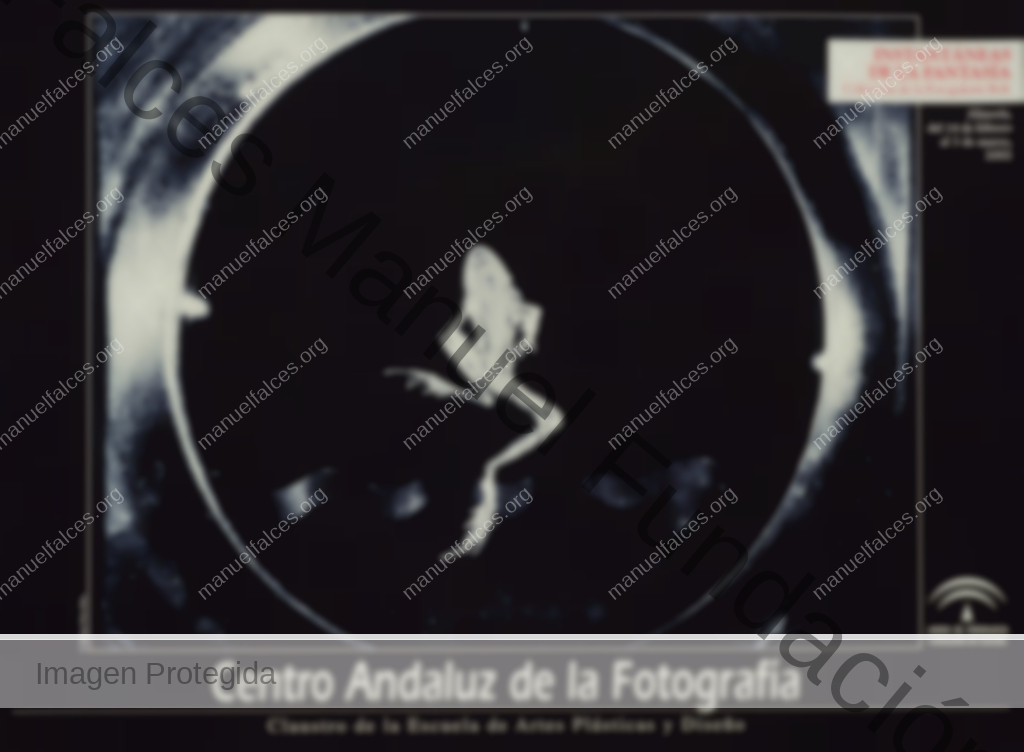 Instantáneas De La Fantasía “Colección De La Fotogalería Bolt”
