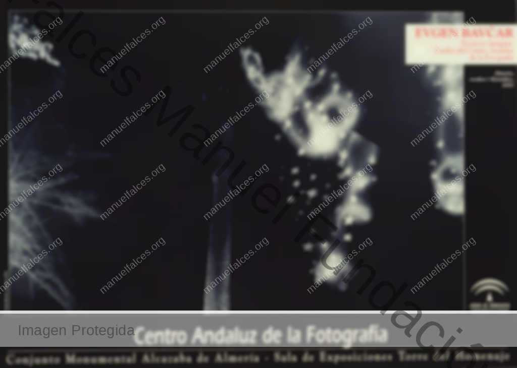 Evgen Bavčar. “Proyecto Imagina. Fondos Del CAF”