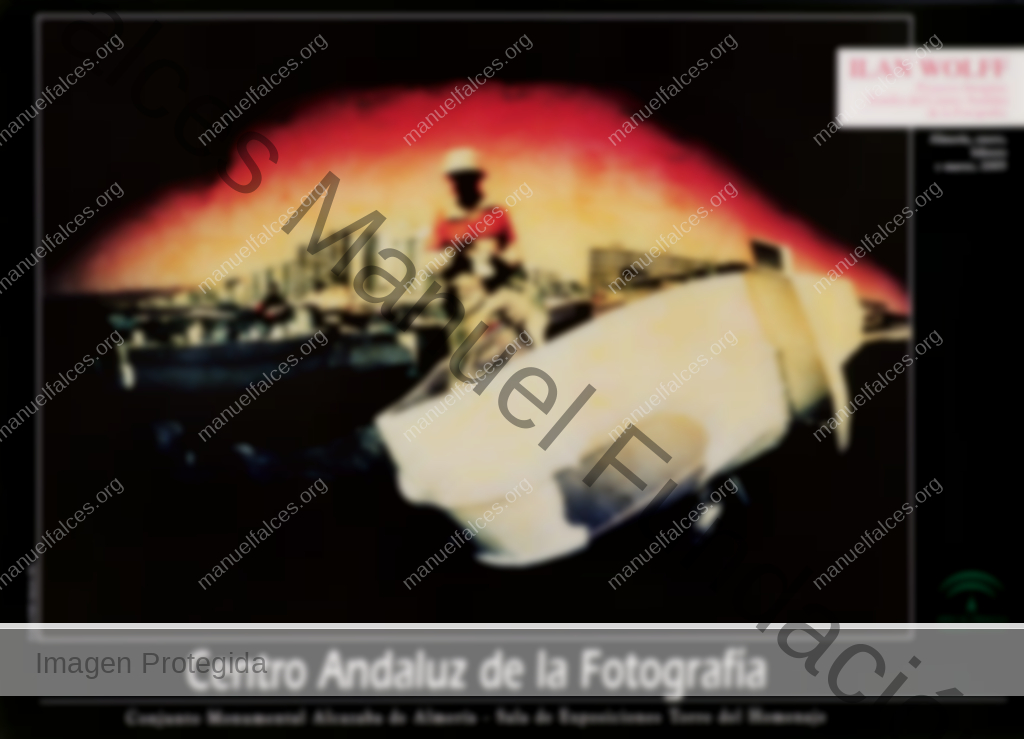 Ilan Wolff “Proyecto Imagina. Fondos Del CAF”