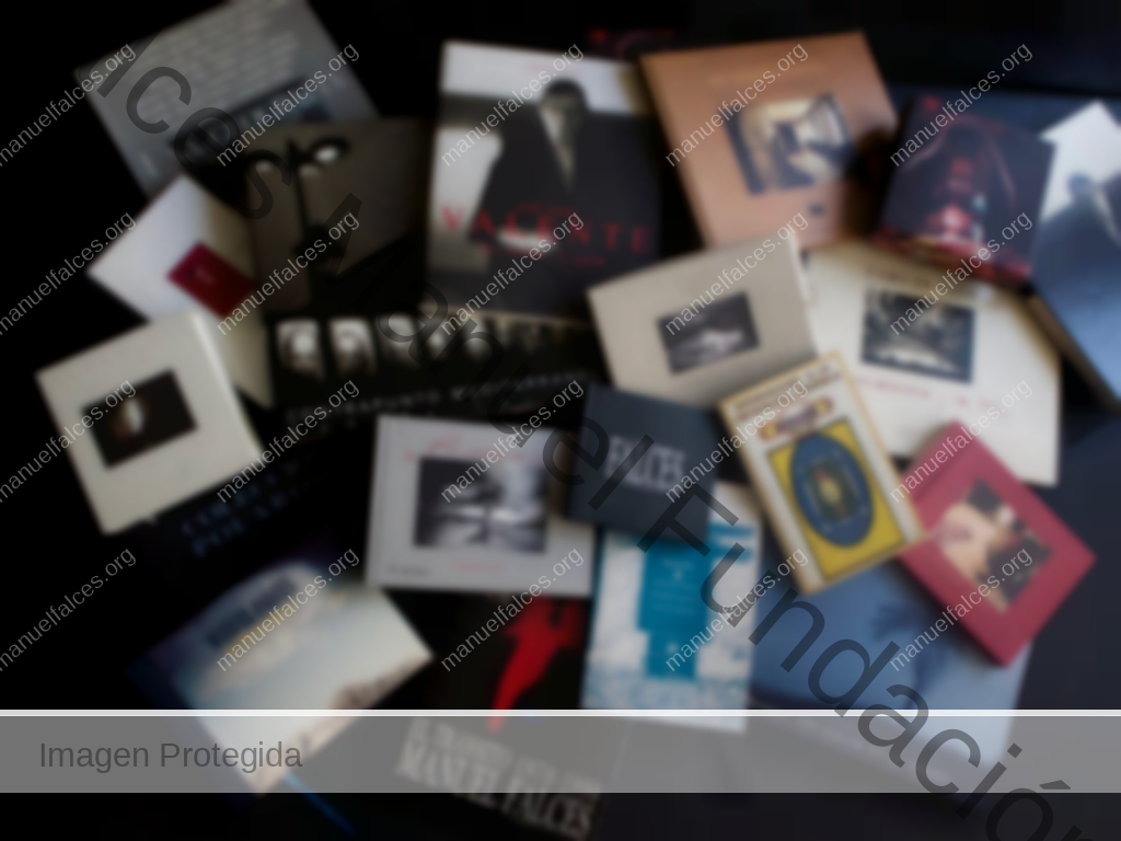 Libros Manuel Falces