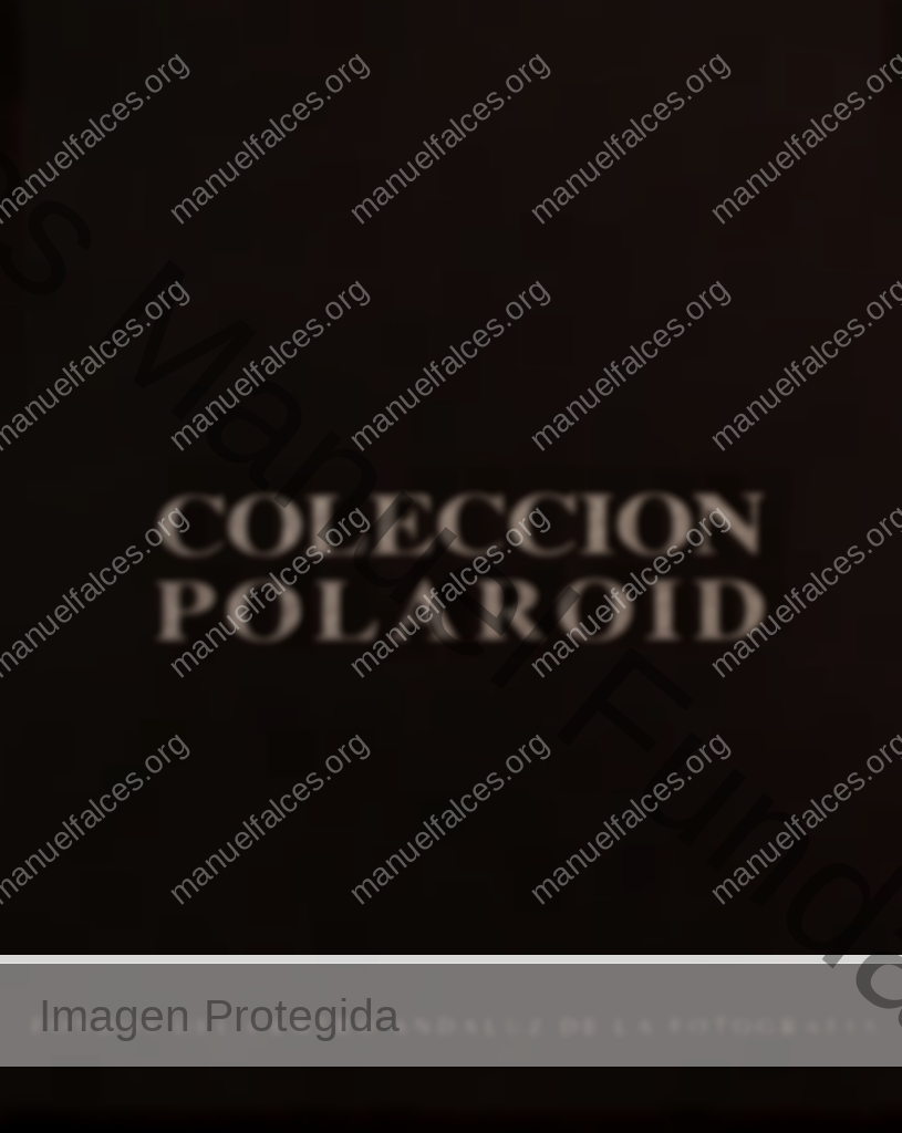 Portada - Colección Polaroid