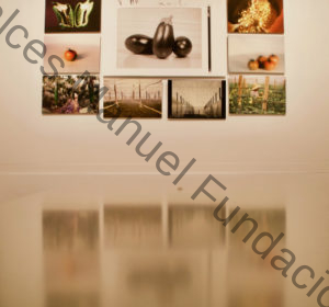 Exposición TERRA ©Fundación Manuel Falces