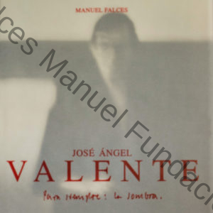 José Ángel Valente.<br>Para siempre: la sombra