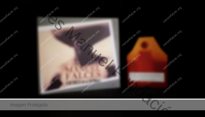 Manuel Falces. Alquimista de la Memoria